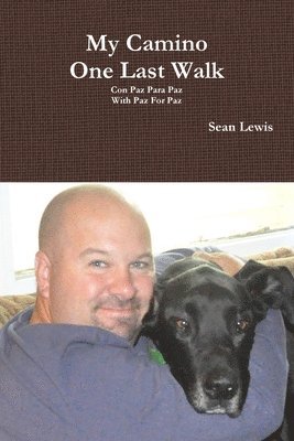 Sean Lewis - My Camino One Last Walk, Häftad