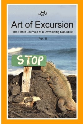 bokomslag Art of Excursion Vol. 2