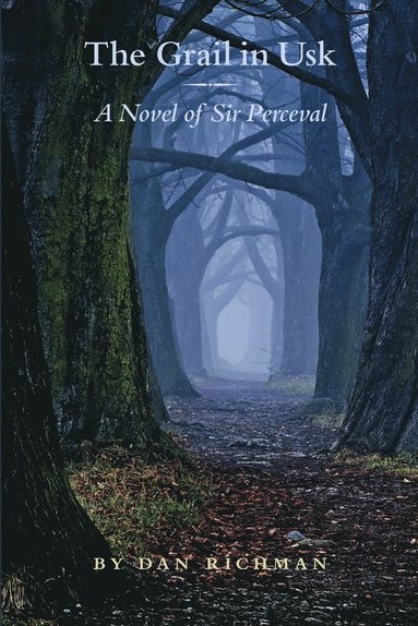 bokomslag Grail in Usk: A Novel of Sir Perceval