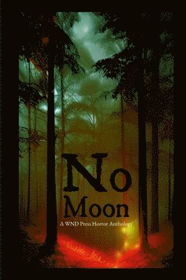 No Moon 1