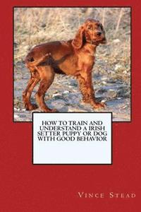 bokomslag How to Train and Raise a Irish Setter Puppy or Dog with Good Behavior