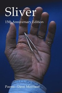bokomslag Sliver - 15th Anniversary Edition