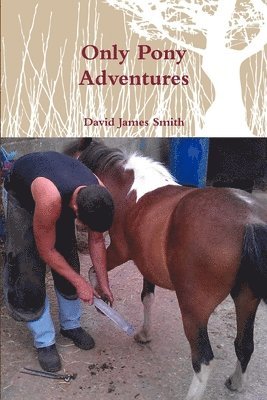 David James Smith - Only Pony Adventures, Häftad