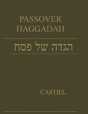 bokomslag Passover Hagadah
