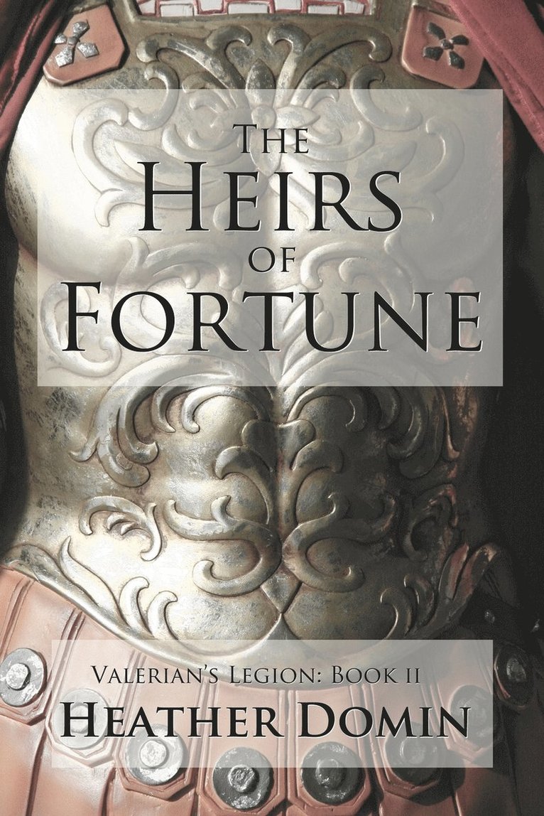 The Heirs of Fortune 1