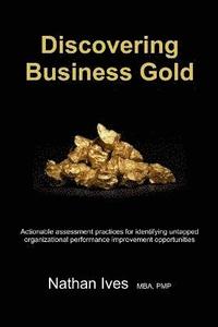 bokomslag Discovering Business Gold