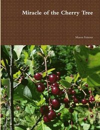 bokomslag Miracle of the Cherry Tree