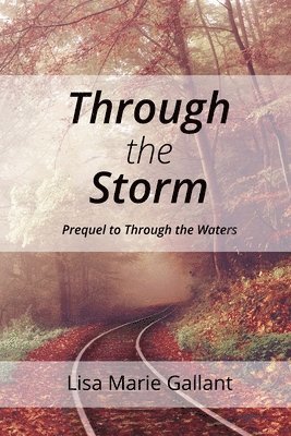 Through the Storm 1