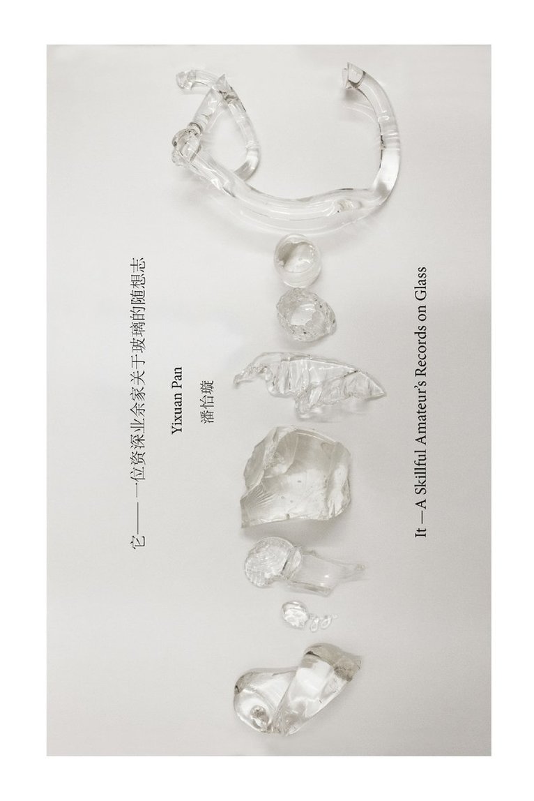 yixuan pan, Yixuan Pan - It -A Skillful Amateur's Records on Glass, Häftad