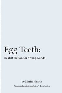 bokomslag Egg Teeth: Realist Fiction for Young Minds