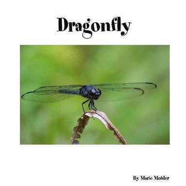 bokomslag Dragonfly