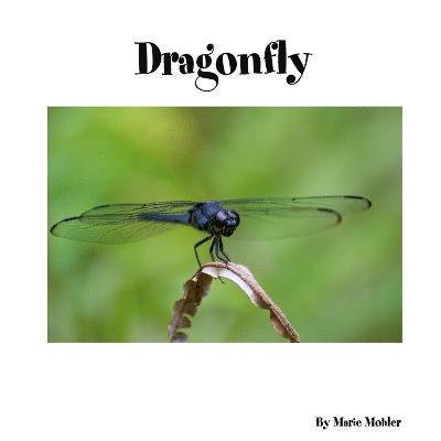 Dragonfly 1