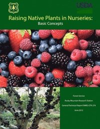 bokomslag Raising Native Plants in Nurseries: Basic Concepts