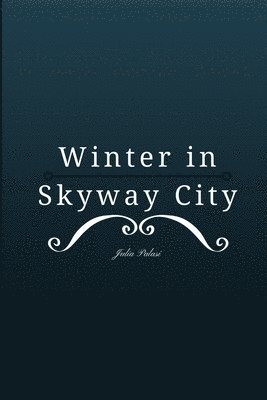 bokomslag Winter in Skyway City