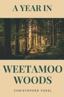 Year in Weetamoo Woods