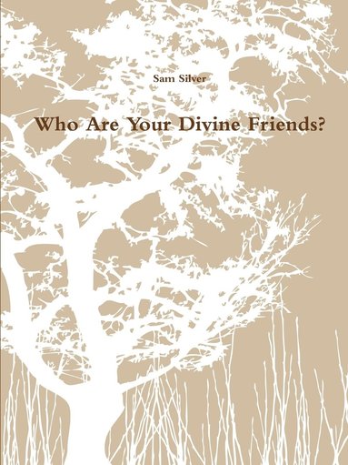 bokomslag Who are Your Divine Friends?