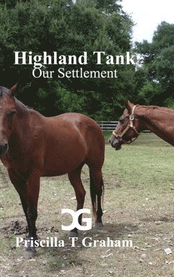 Highland Tank Our Settlement 1