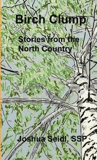 bokomslag Birch Clump: Stories from the North Country