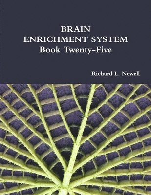 bokomslag BRAIN ENRICHMENT SYSTEM Book Twenty-Five