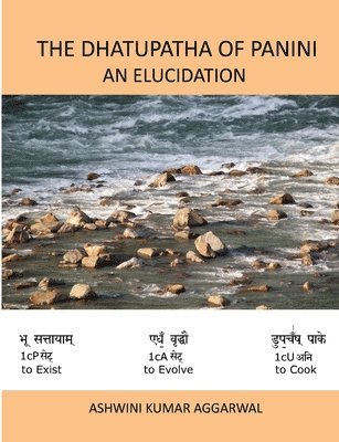 Ashwini Kumar Aggarwal - Dhatupatha of Panini - An Elucidation, Häftad