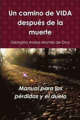 Georgina Avalos Montes de Oca, Georgina Avalos Montes De Oca - Camino De Vida Despues De La Muerte, Häftad