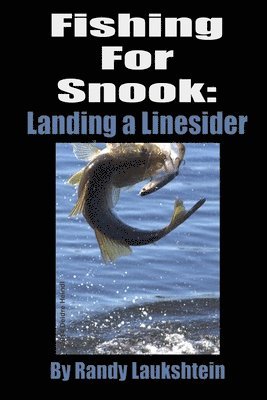 bokomslag Fishing for Snook: Landing A Linesider