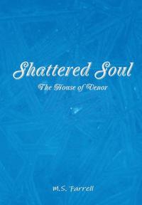 bokomslag Shattered Soul