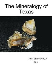 bokomslag The Mineralogy of Texas