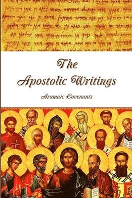 bokomslag Apostolic Writings