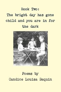 bokomslag Book Two: the Bright Day Has Gone Child and You are in for the Dark