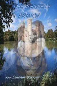bokomslag THE Perfect Prince