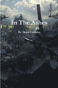 bokomslag In the Ashes