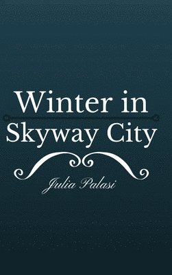 bokomslag Winter in Skyway City