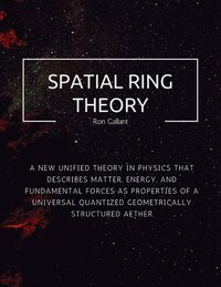 bokomslag Spatial Ring Theory