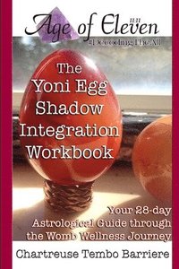 bokomslag The Yoni Egg Shadow Integration Workbook