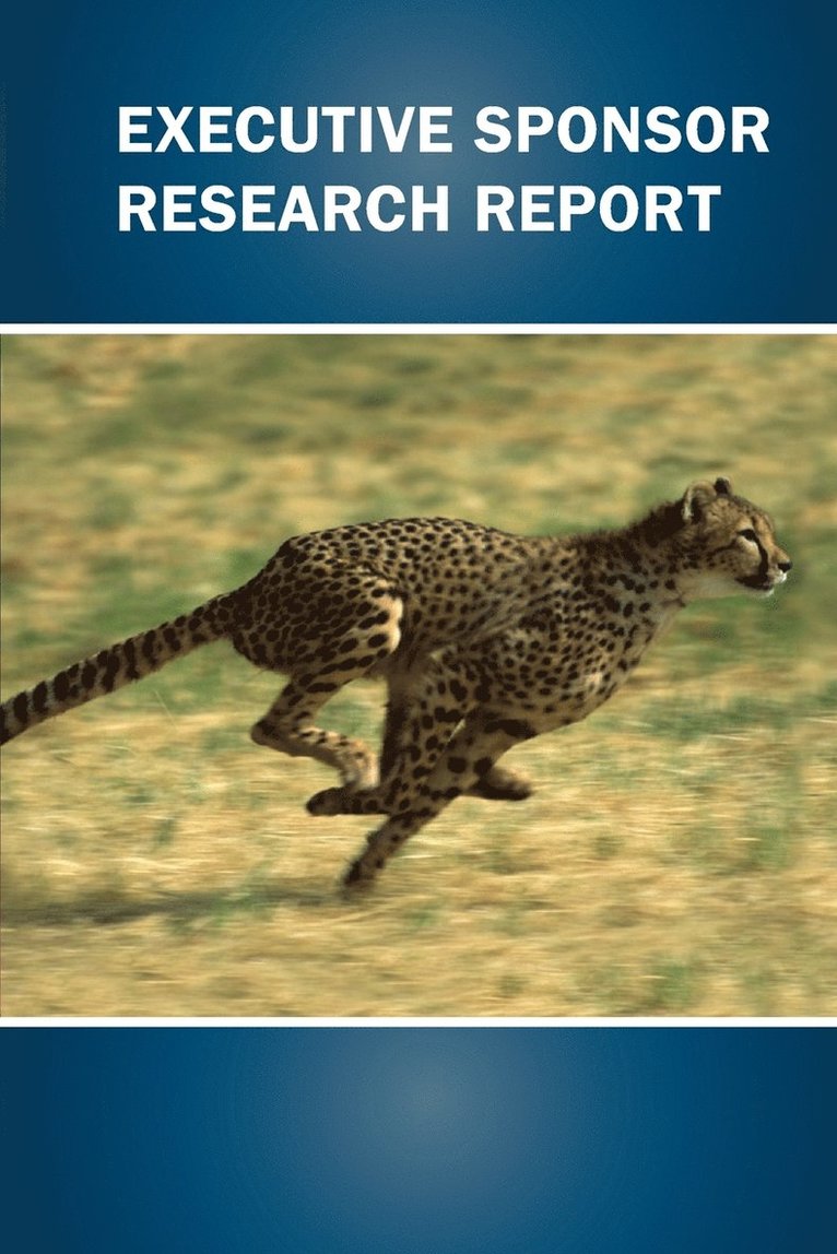 James Johnson - Executive Sponsor Research Report, Häftad
