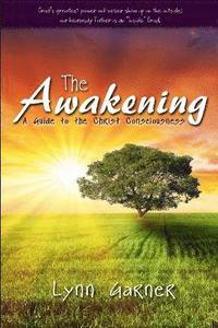 bokomslag Awakening