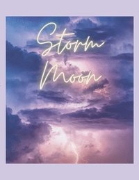 bokomslag Storm Moon