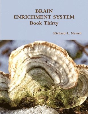 bokomslag BRAIN ENRICHMENT SYSTEM Book Thirty