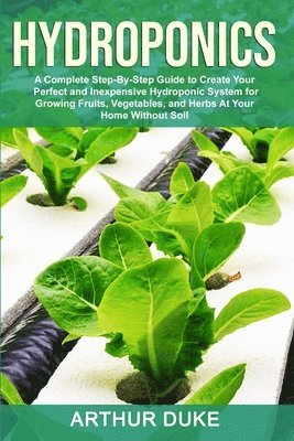 Hydroponics 1