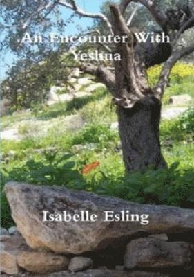An Encounter With Yeshua 1