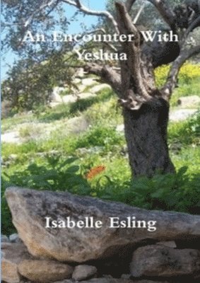 An Encounter With Yeshua 1