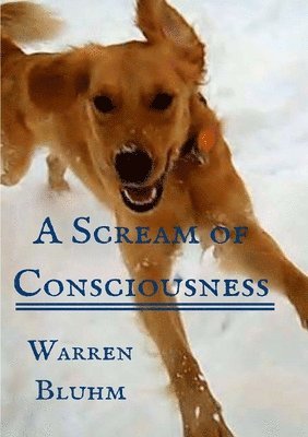 bokomslag Scream of Consciousness