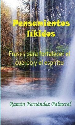 Ramon Fernandez Palmeral - Pensamientos Likidos, Häftad