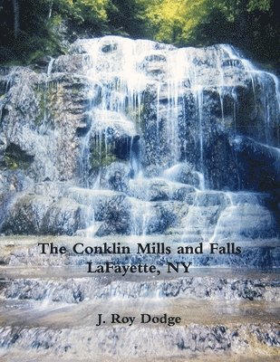 bokomslag Conklin Mills and Falls LaFayette, NY