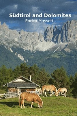 Enrico Massetti - Südtirol and Dolomites, Häftad