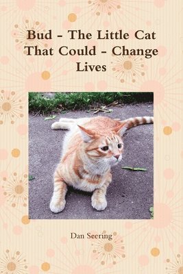 bokomslag Bud - the Little Cat That Could - Change Lives