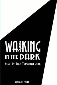 bokomslag Walking in the Dark: Step by Step Through Job