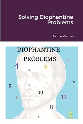 bokomslag Solving Diophantine Problems