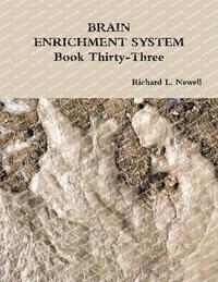 bokomslag BRAIN ENRICHMENT SYSTEM Book Thirty-Three